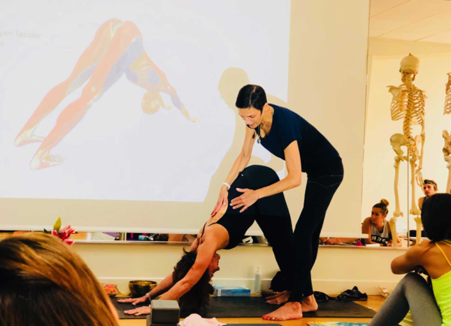 Vous souhaitez changer de vie et devenir professeur de Yoga Vinyasa Aligné ?